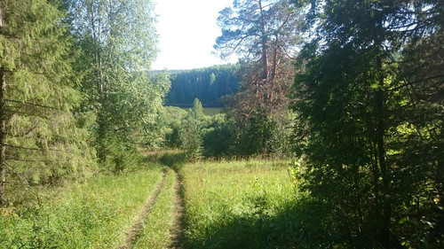 Дорога